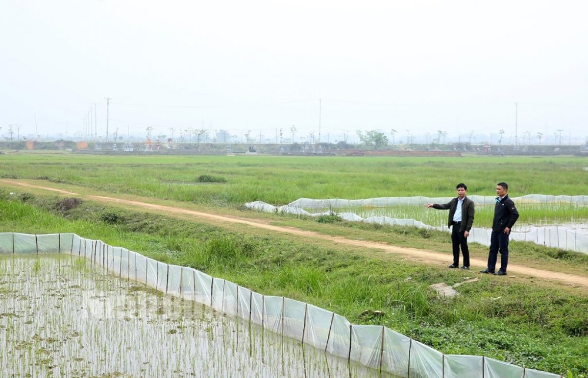 du an trong diem o ninh binh giai phong mat bang i ach, nguy co cham tien do hinh anh 1