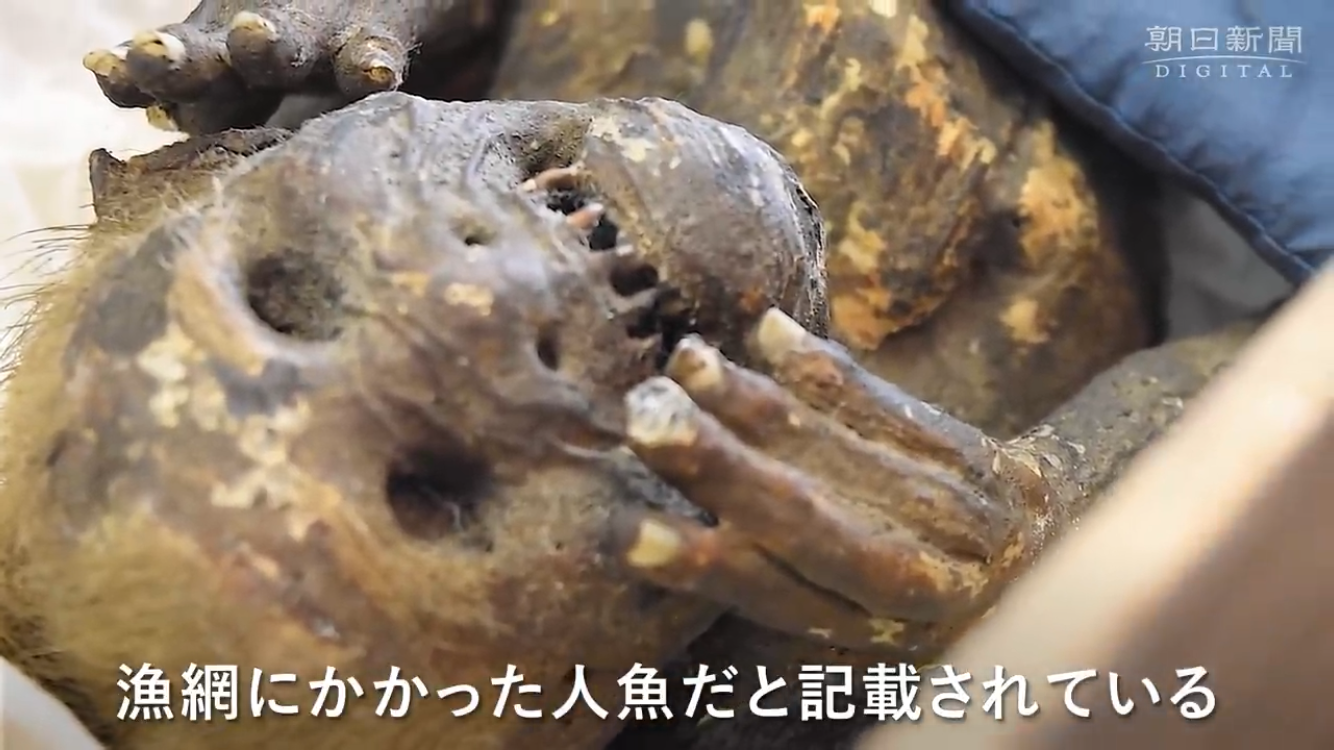 ‘Nàng tiên cá’ 300 tuổi ở đền Enjuin Nhật Bản là đồ giả - 1