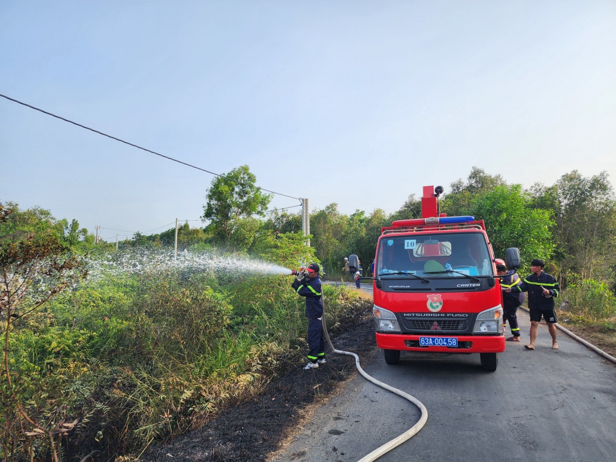 Da dap tat dam chay rung tram o chau thanh, tien giang hinh anh 2