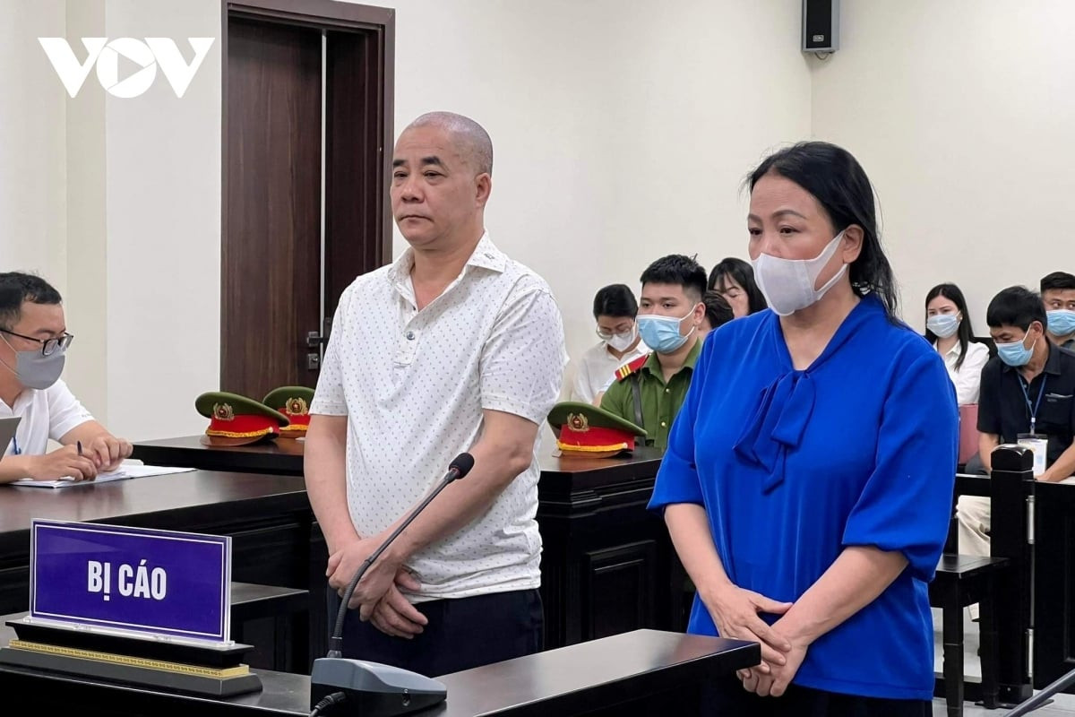Cựu Phó Chánh Văn phòng Sở Tài nguyên và Môi trường Hà Nội bị tuyên 18 năm tù - 1
