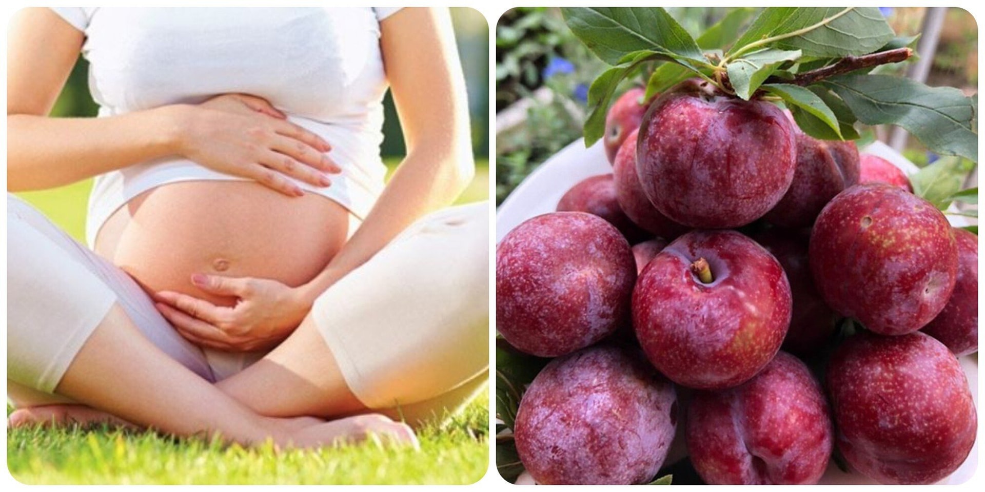 Bà bầu ăn mận được không? - 1