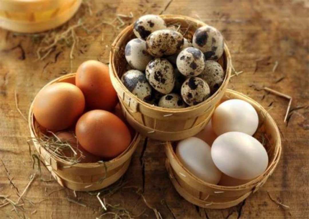 Trẻ em nên ăn bao nhiêu quả trứng mỗi tuần?  - 2
