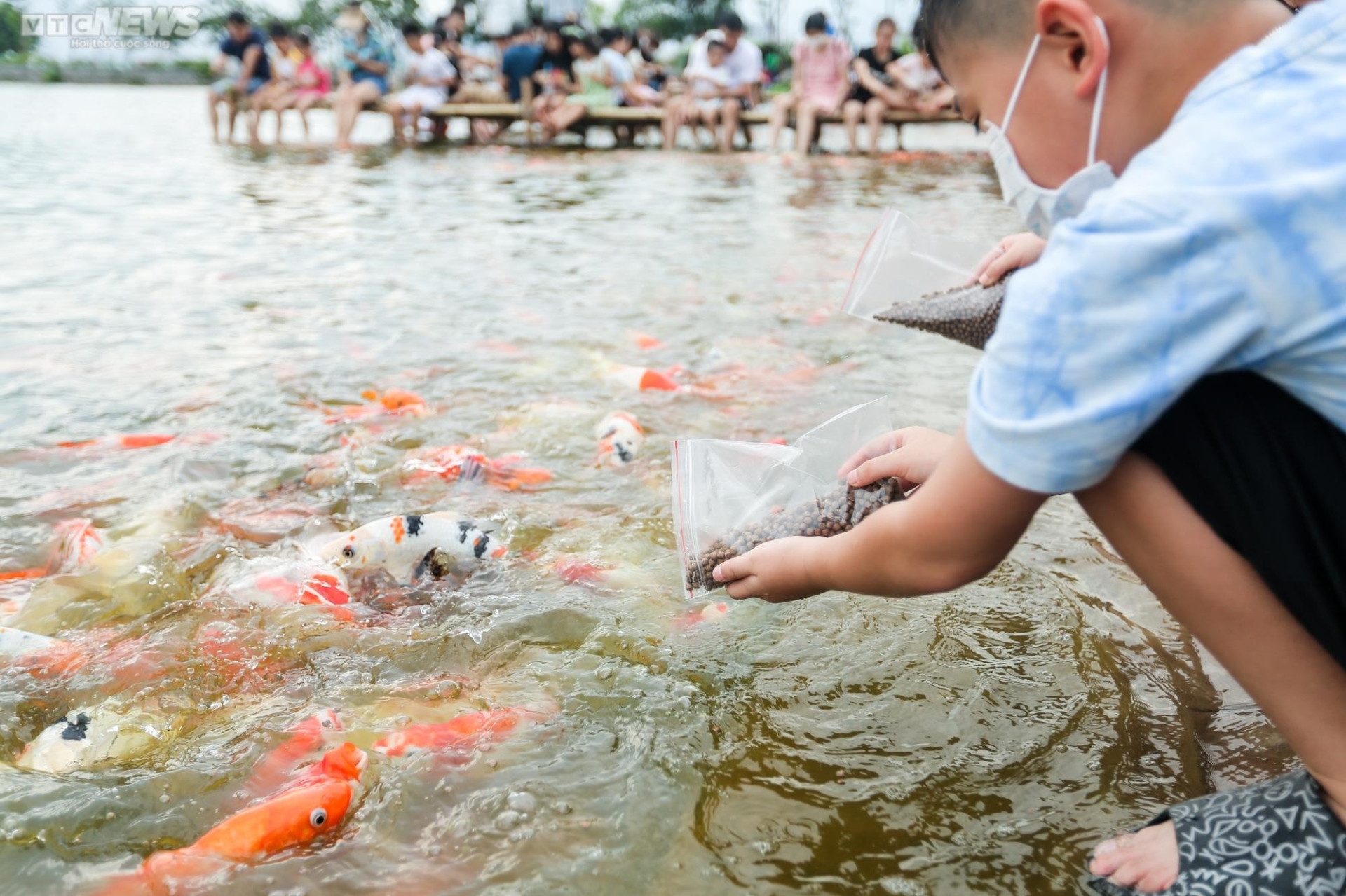 Người dân kéo đến trải nghiệm tại hồ cá Koi lớn nhất Hà Nội - 8