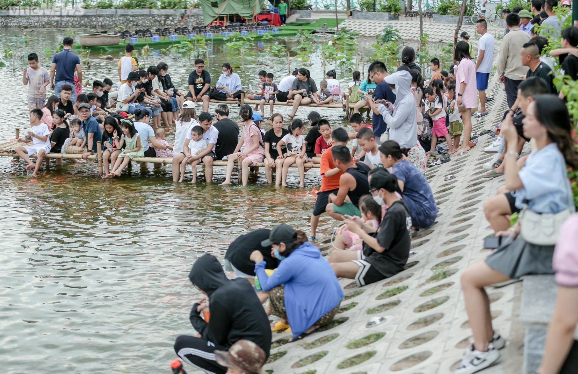 Người dân kéo đến trải nghiệm tại hồ cá Koi lớn nhất Hà Nội - 2