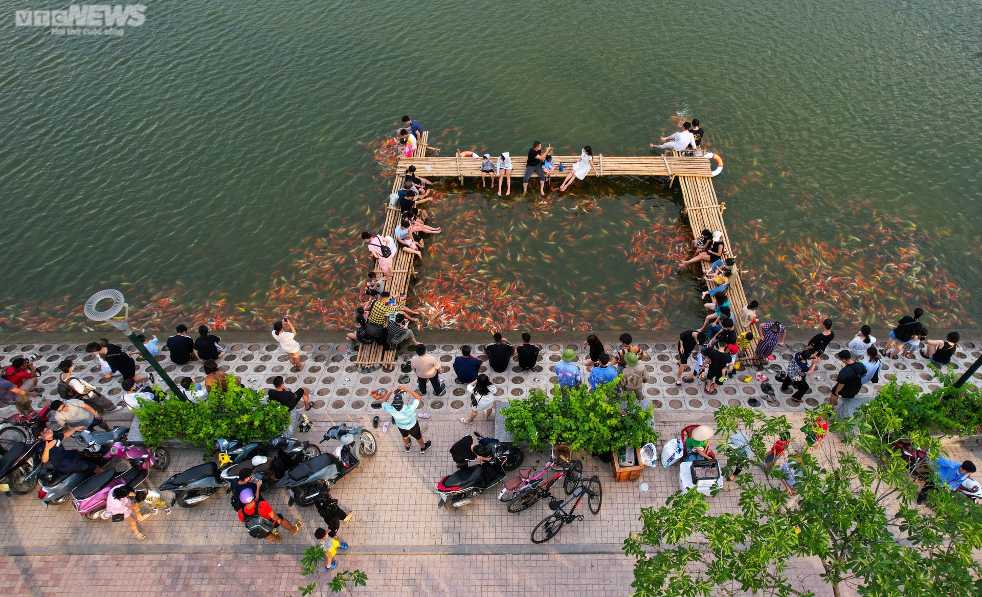 Người dân kéo đến trải nghiệm tại hồ cá Koi lớn nhất Hà Nội - 1