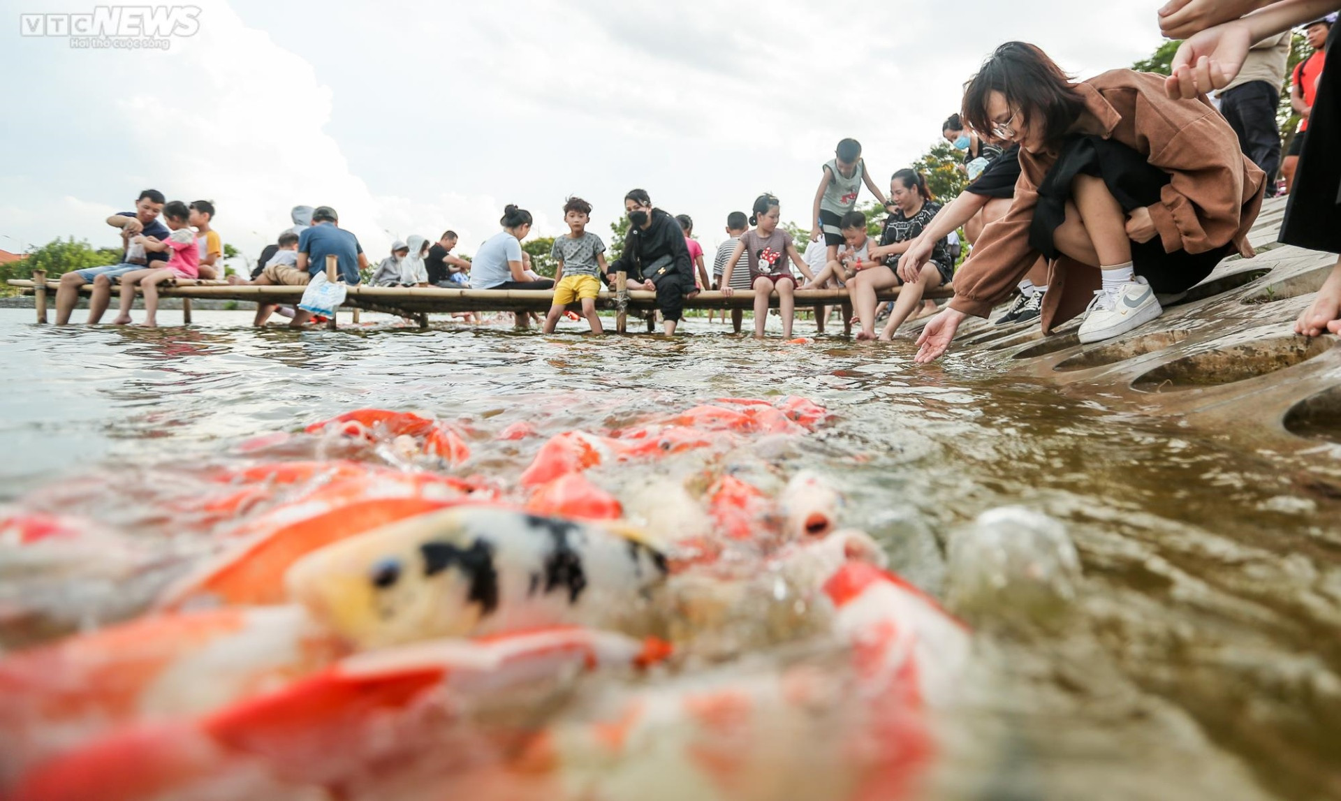 Người dân kéo đến trải nghiệm tại hồ cá Koi lớn nhất Hà Nội - 7