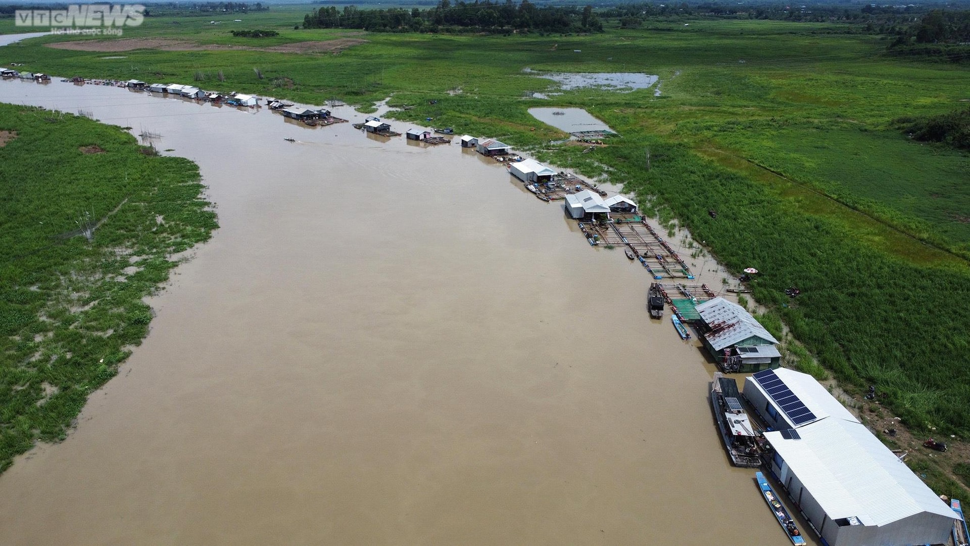 Dân nuôi cá lồng trên hồ Trị An, nguồn nước sạch bị đe dọa - 7