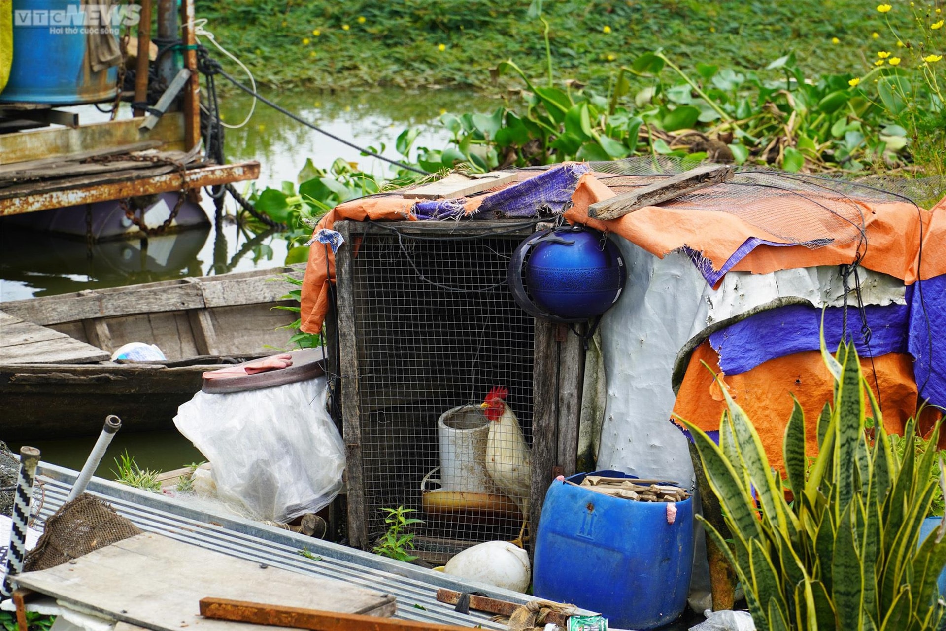 Dân nuôi cá lồng trên hồ Trị An, nguồn nước sạch bị đe dọa - 8