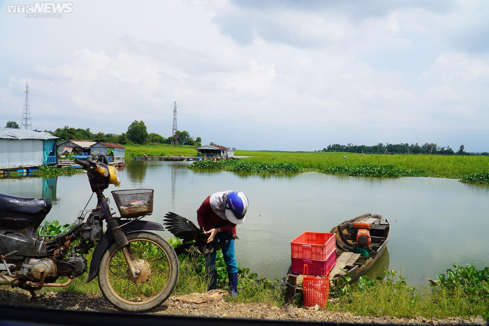 Dân nuôi cá lồng trên hồ Trị An, nguồn nước sạch bị đe dọa - 4