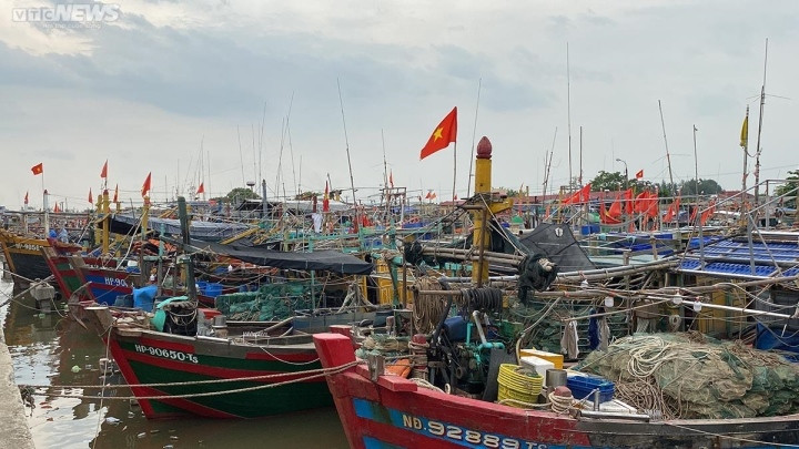 Tại cảng cá Ngọc Hải (quận Đồ Sơn), hàng trăm tàu thuyền cũng về nơi neo đậu, trú tránh an toàn trước khi bão về.