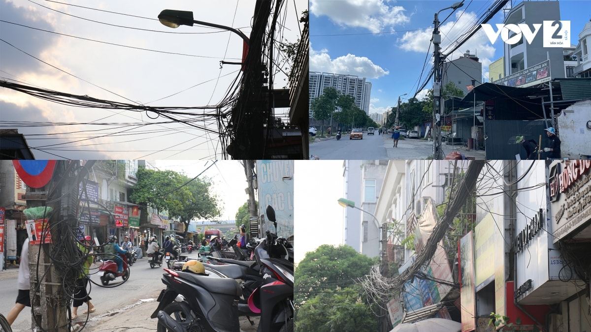  mang nhen cap vien thong va luoi dien giang khap pho o ha noi hinh anh 1