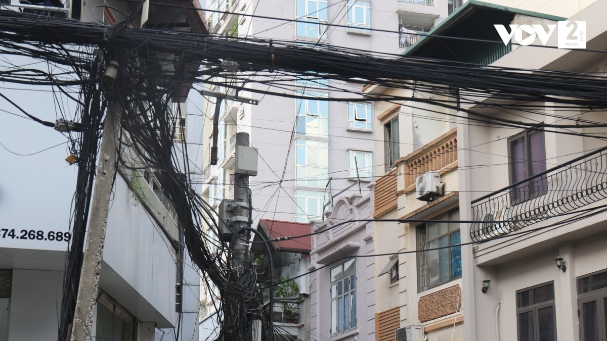  mang nhen cap vien thong va luoi dien giang khap pho o ha noi hinh anh 2