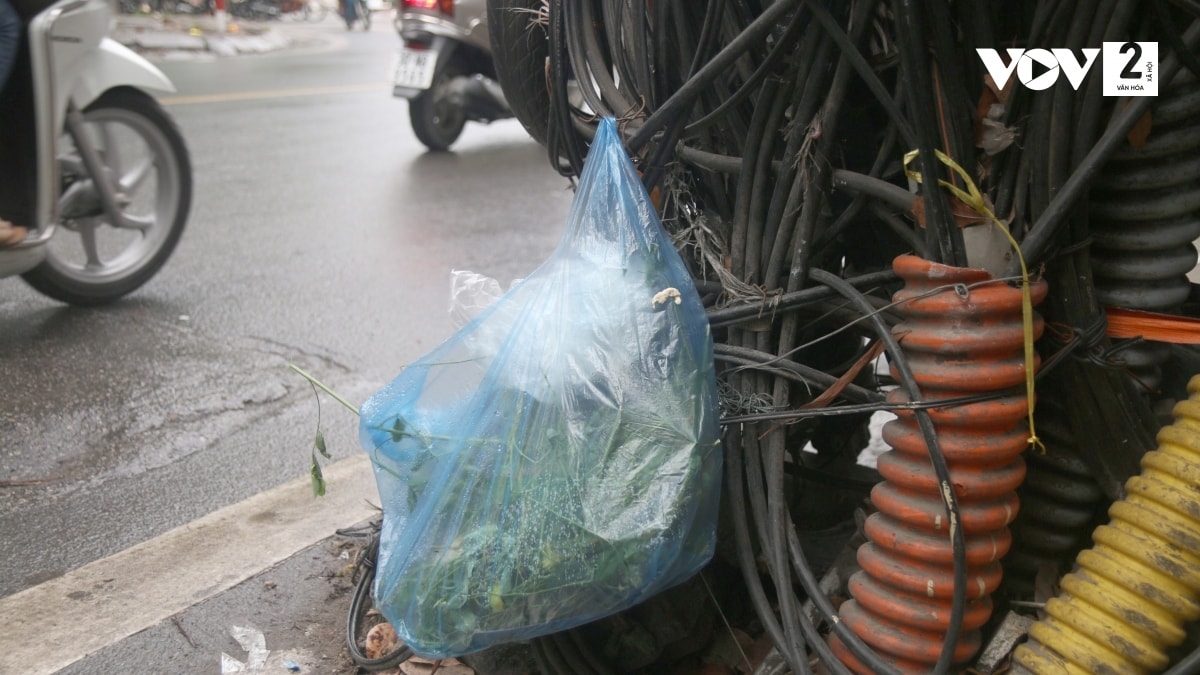  mang nhen cap vien thong va luoi dien giang khap pho o ha noi hinh anh 5