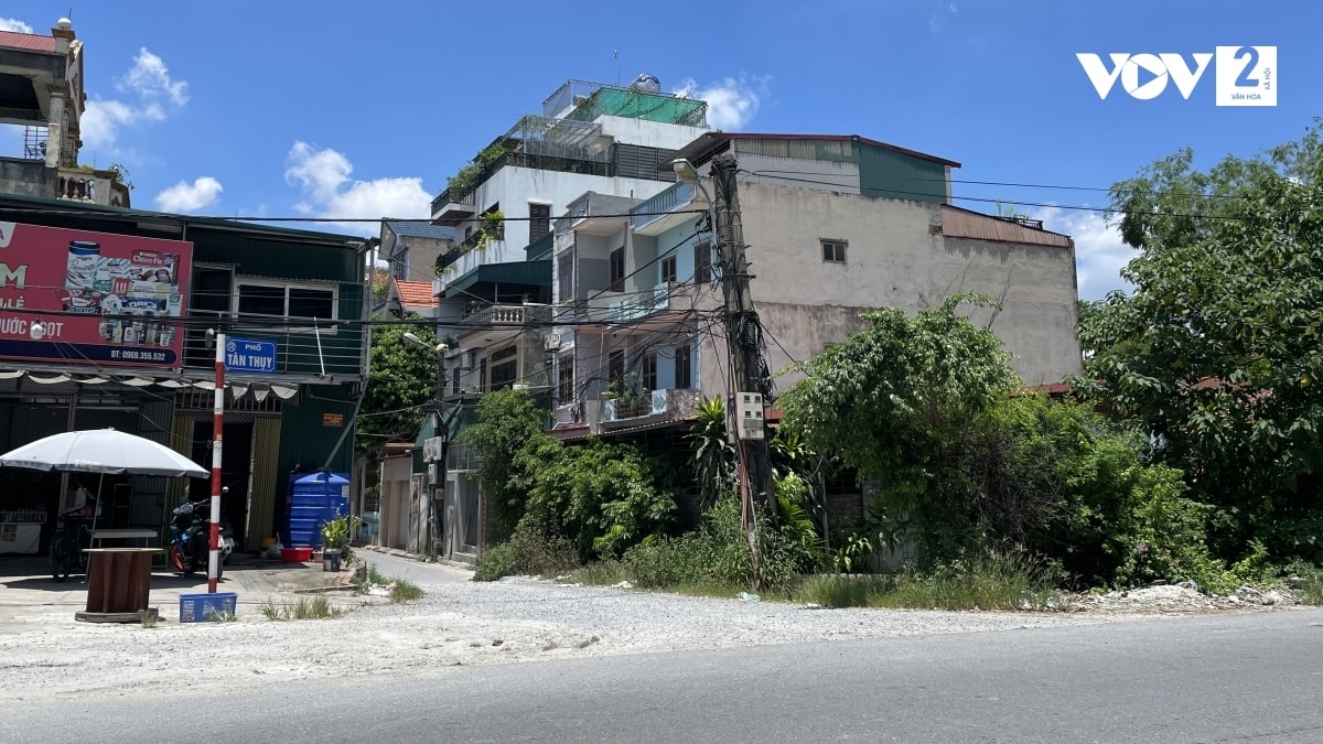  mang nhen cap vien thong va luoi dien giang khap pho o ha noi hinh anh 8