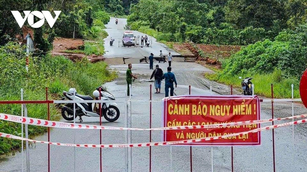 ngap ung, sat lo dat nhieu khu vuc tai lam Dong hinh anh 2