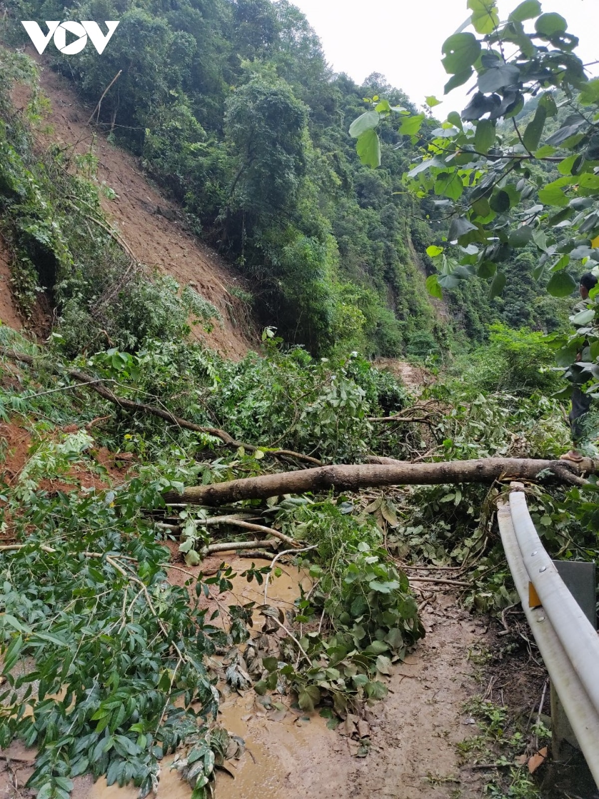 mưa lũ ở sơn la, yên bái gây thiệt hại hàng chục tỷ đồng hình ảnh 7 mua lu o son la, yen bai gay thiet hai hang chuc ty dong hinh anh 7