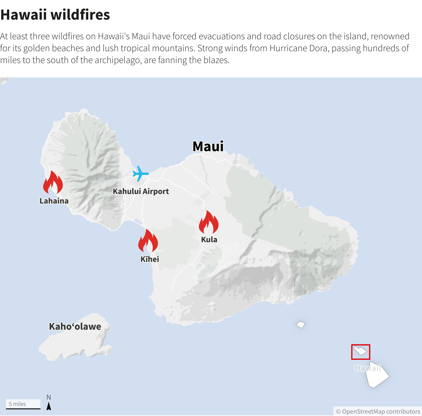 Vị trí các đám cháy rừng trên đảo Maui. (Ảnh: Reuters)
