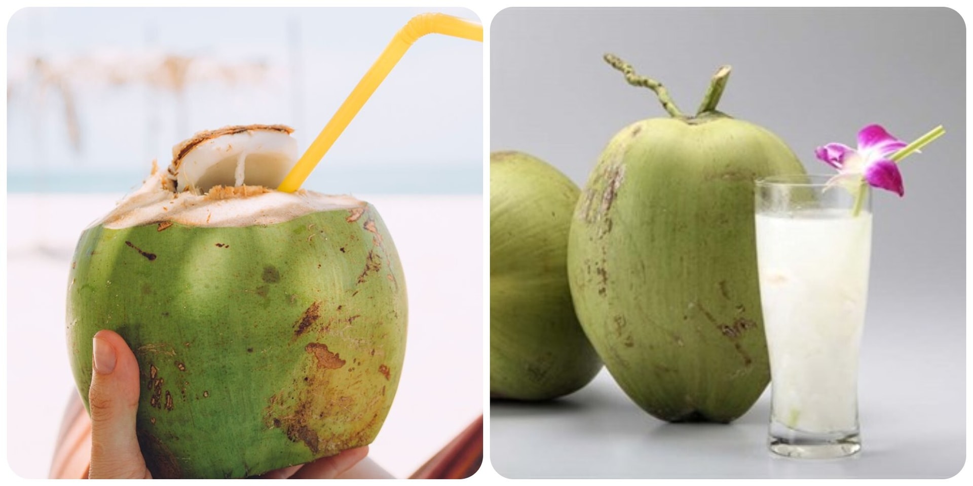 Uống nước dừa đúng cách sẽ nhận được nhiều công dụng với sức khoẻ.