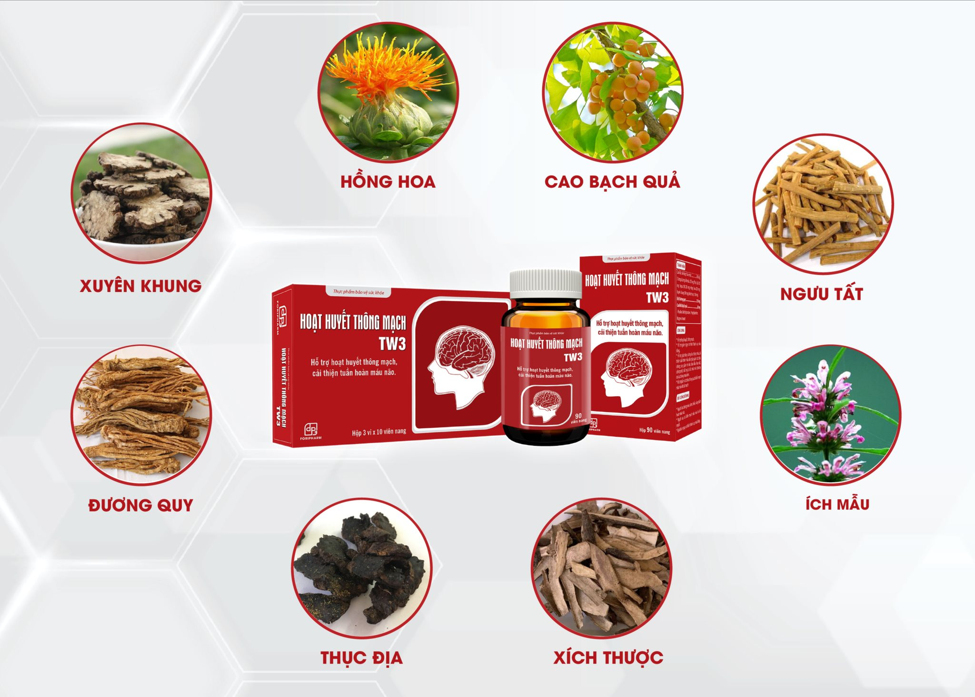 hoat-huyet-anh-3.png