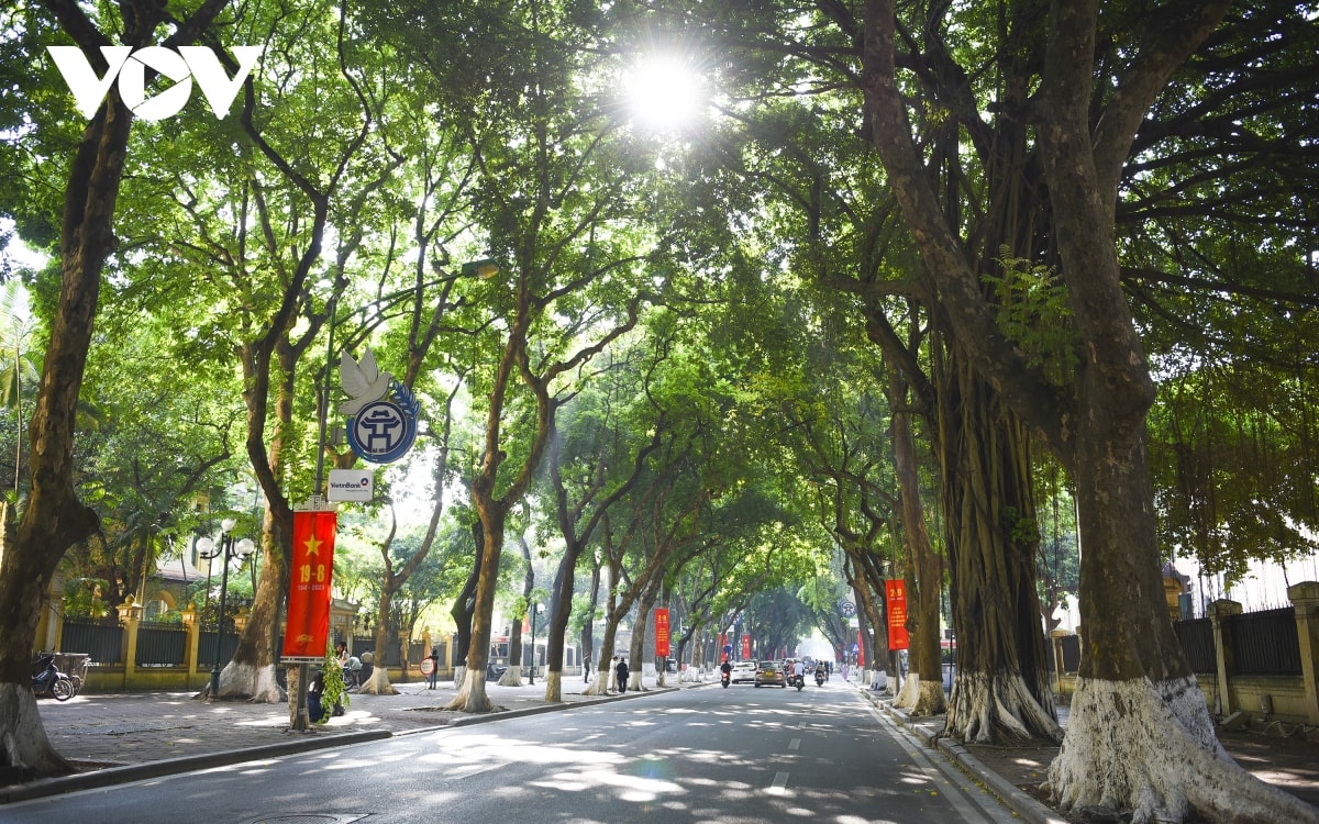 thoi tiet ngay 3 9 bac bo ngay nang, dem mua, tay nguyen va nam bo mua lon hinh anh 1