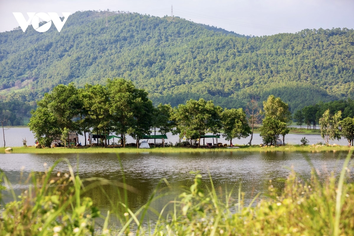nang vang, thong xanh noi Da lat thu nho giua long quang ninh hinh anh 11