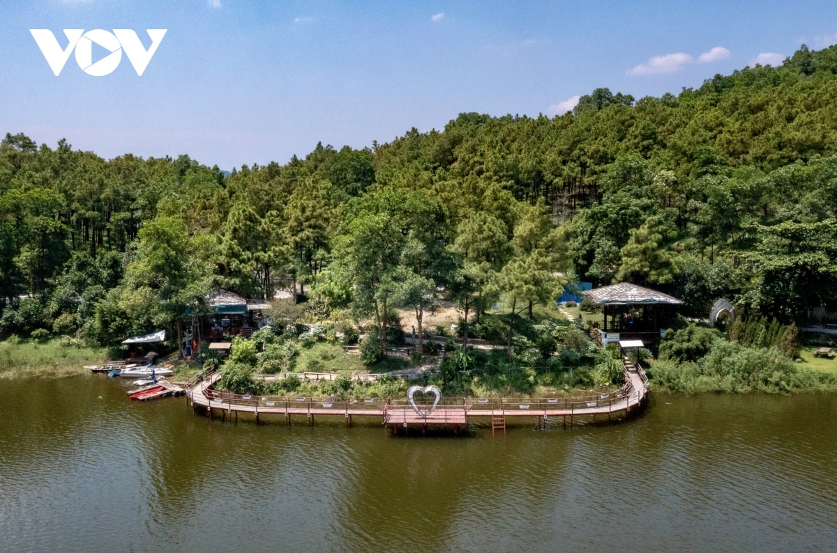 nang vang, thong xanh noi Da lat thu nho giua long quang ninh hinh anh 4