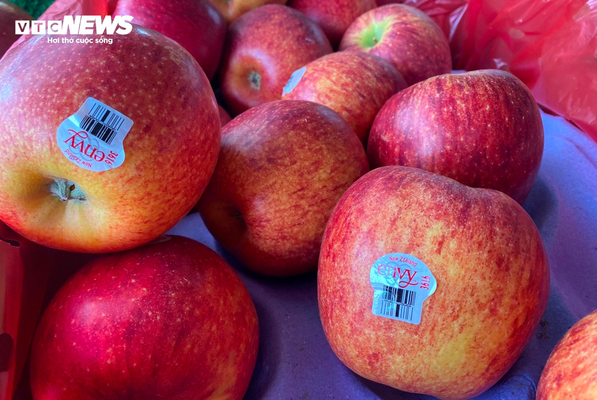 Loại táo Envy nhập từ Mỹ được mệnh danh là “nữ hoàng” của các cửa hàng trái cây hiện giá cũng giảm rất mạnh so với thời điểm đầu năm.