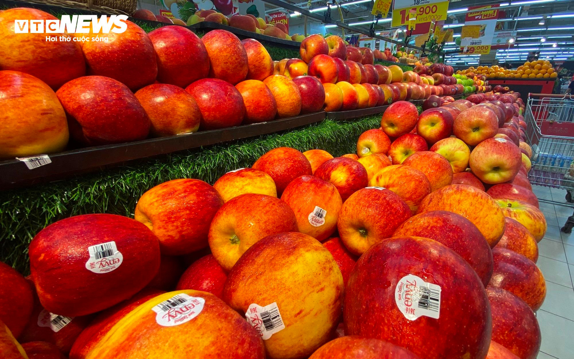 Chị Hoa cho biết, các loại táo trái cây nhập ngoại từ châu Âu hay cả từ Trung Quốc, loại nào cũng đã giảm giá vài chục nghìn đồng mỗi kg, vì thế giá đang rất 