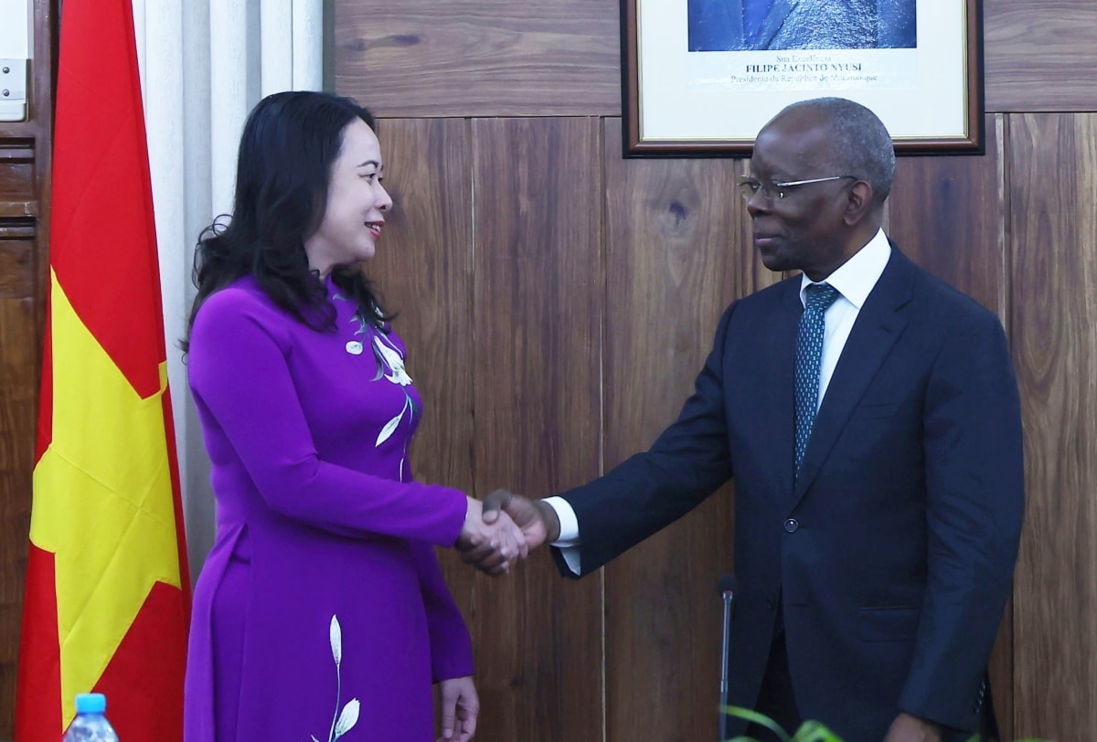 pho chu tich nuoc vo thi Anh xuan hoi dam voi thu tuong mozambique hinh anh 3