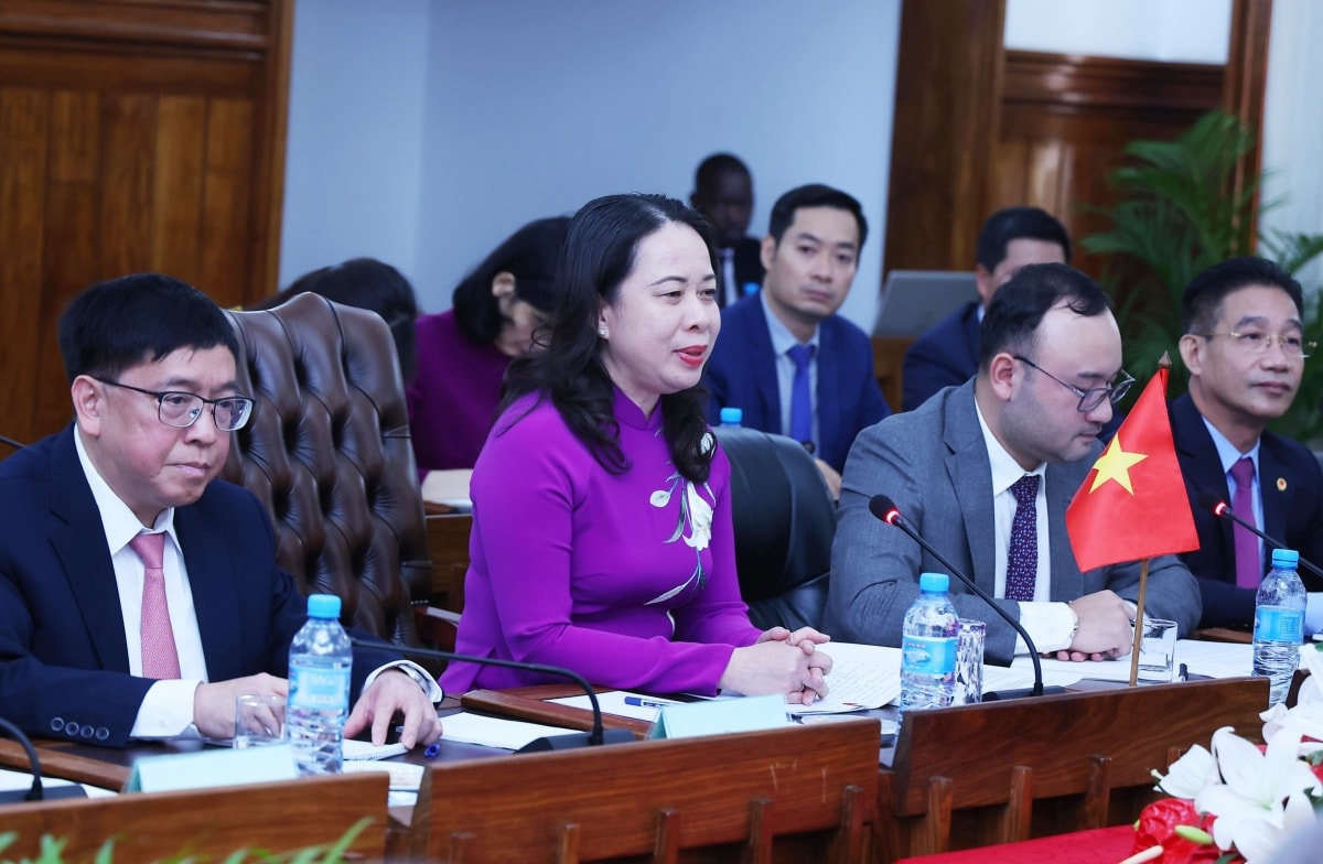 pho chu tich nuoc vo thi Anh xuan hoi dam voi thu tuong mozambique hinh anh 2