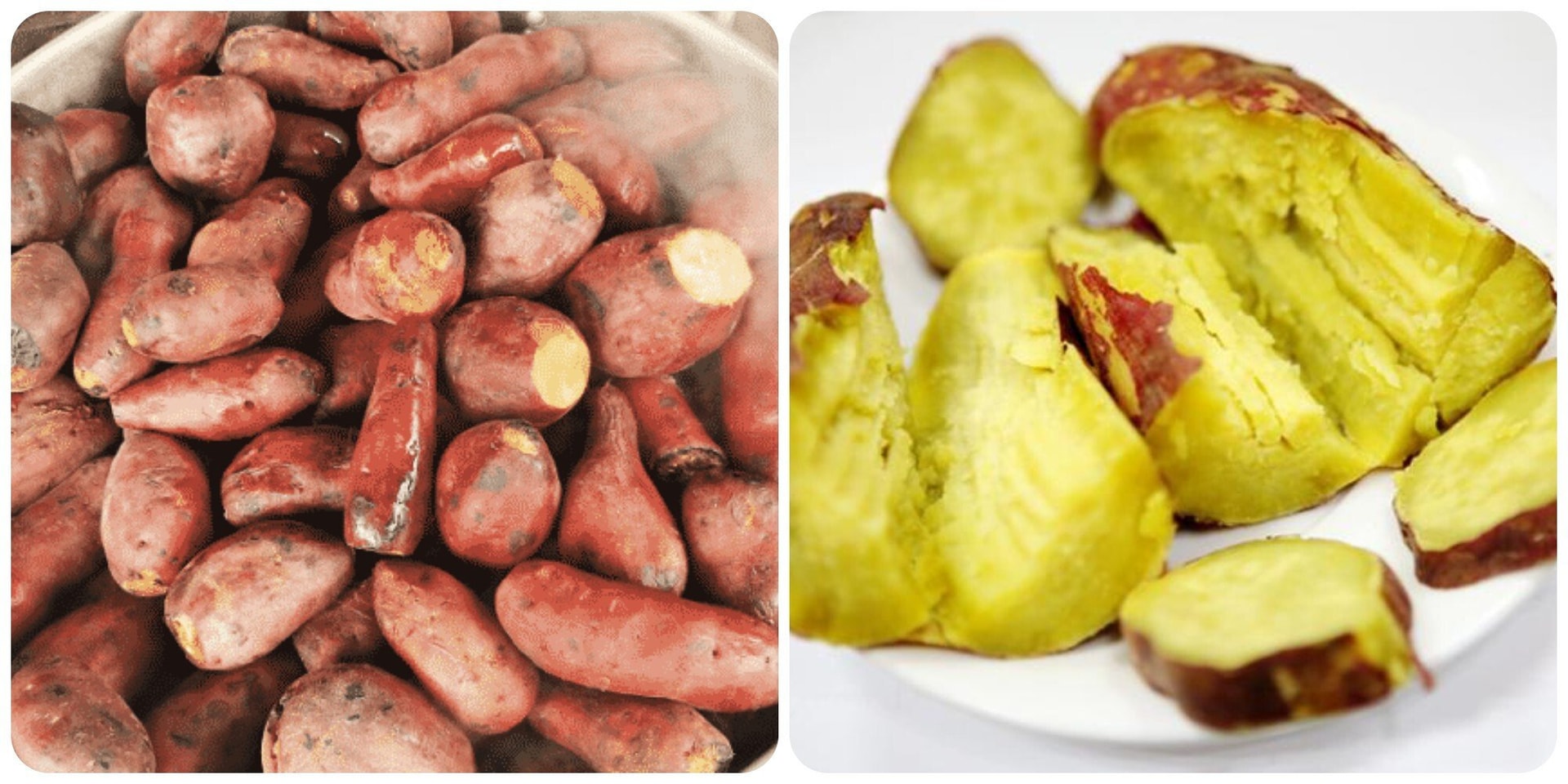 Ăn khoai lang thường xuyên rất tốt cho sức khoẻ.
