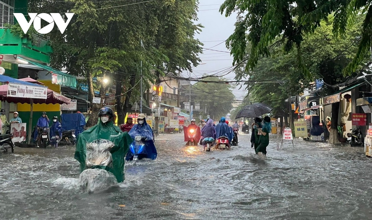 khoang 1.000 ty dong xu ly tinh trang ngap lut o thanh pho quang ngai hinh anh 4