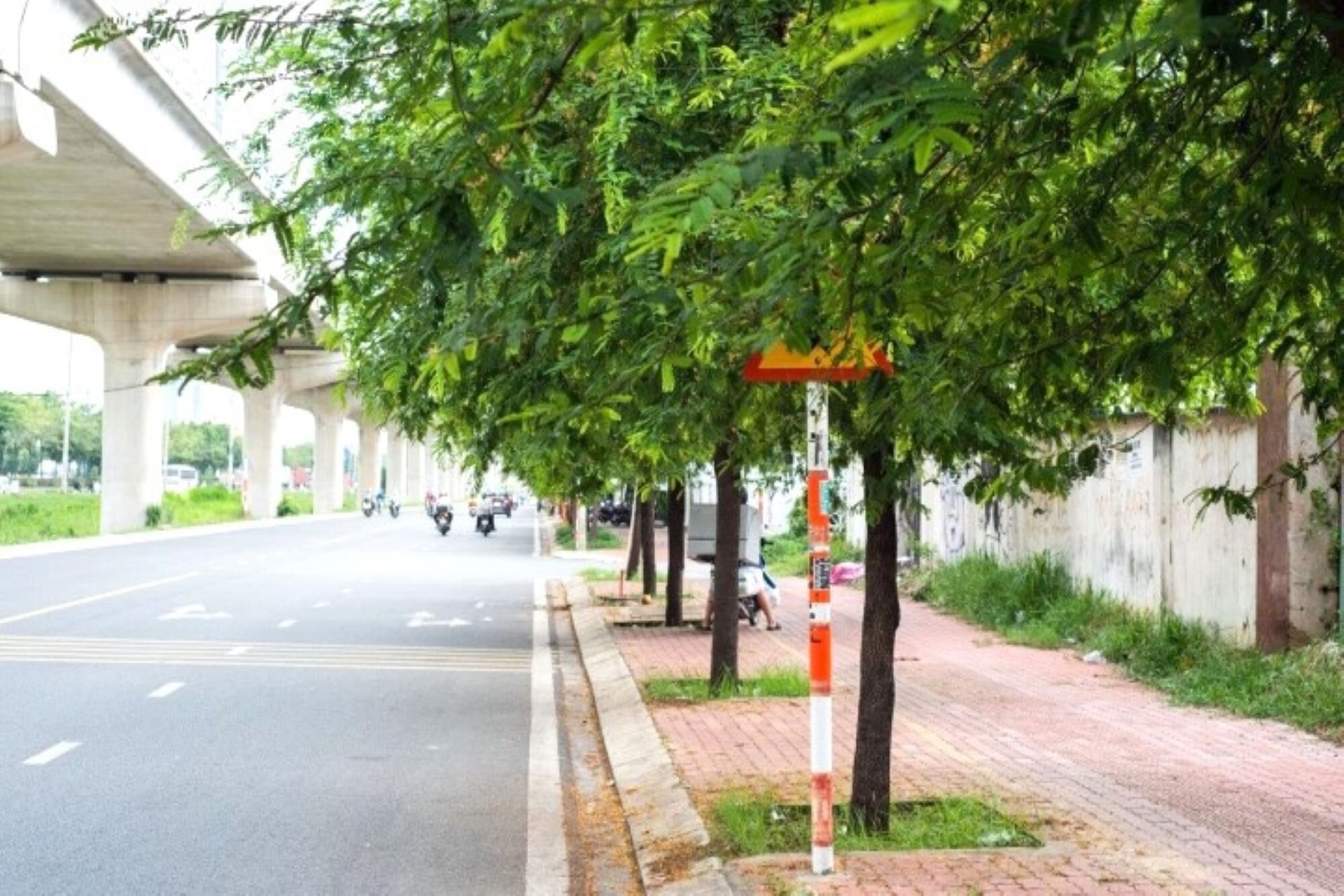 Biển báo bị che khuất như 