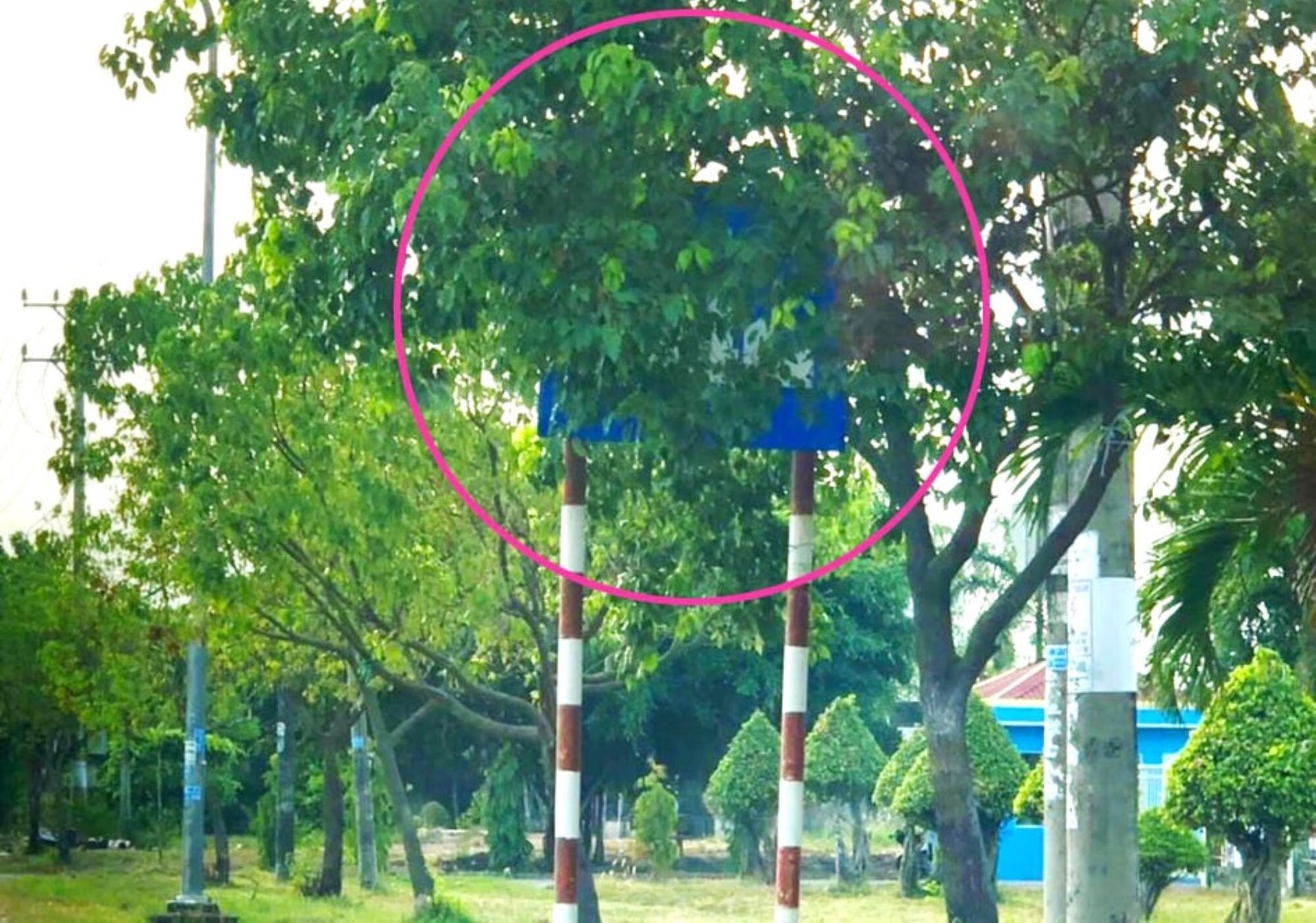 Biển báo 