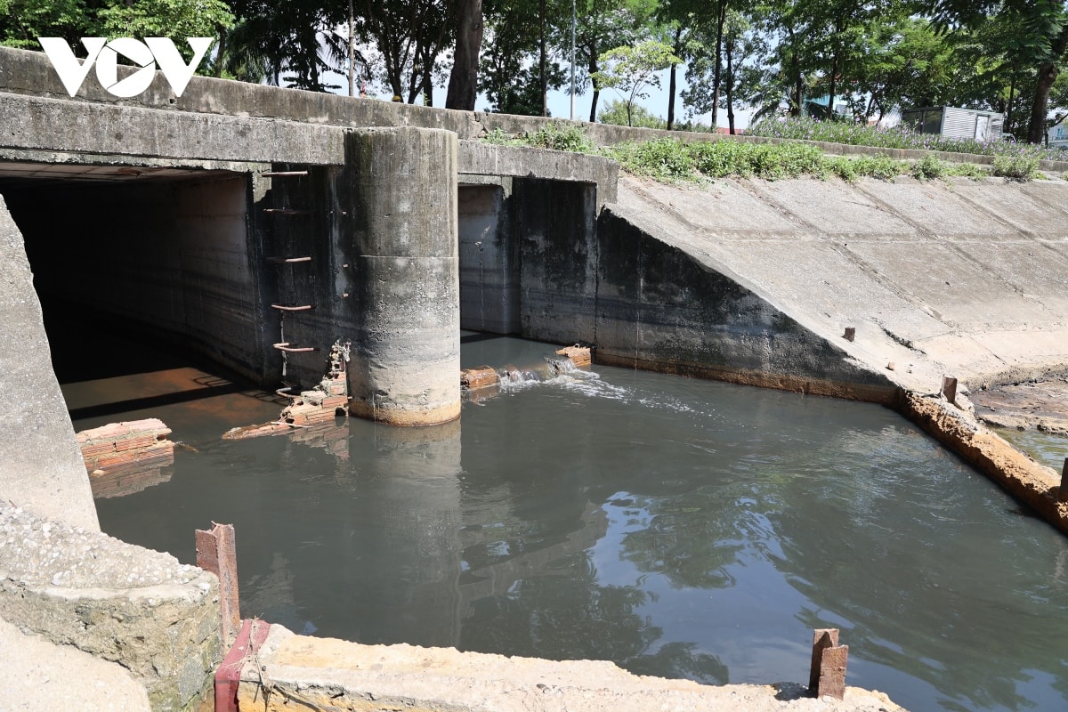 chua tim duoc nguyen nhan dau loang o ho linh Dam, hoang mai hinh anh 8