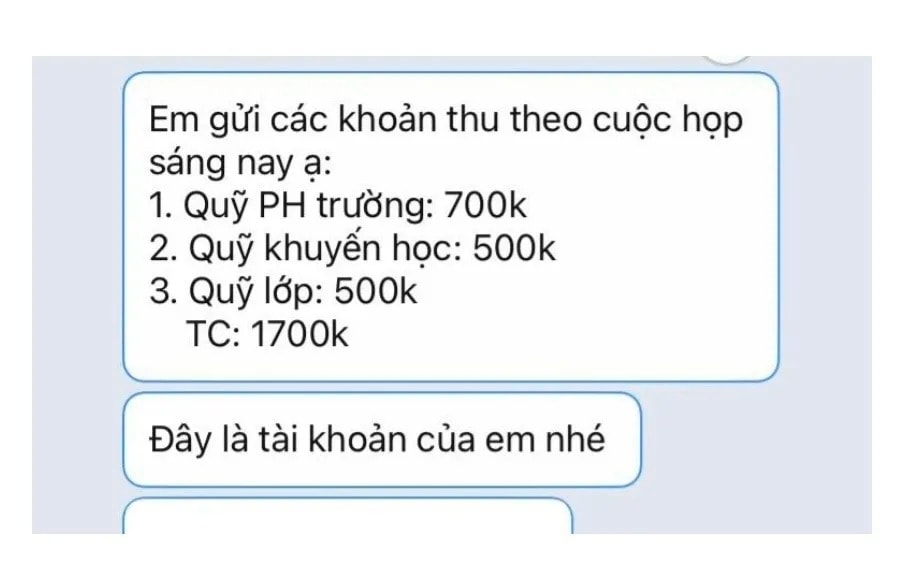 tp.hcm danh 1 thang thanh tra cac khoan thu trong truong hoc hinh anh 1