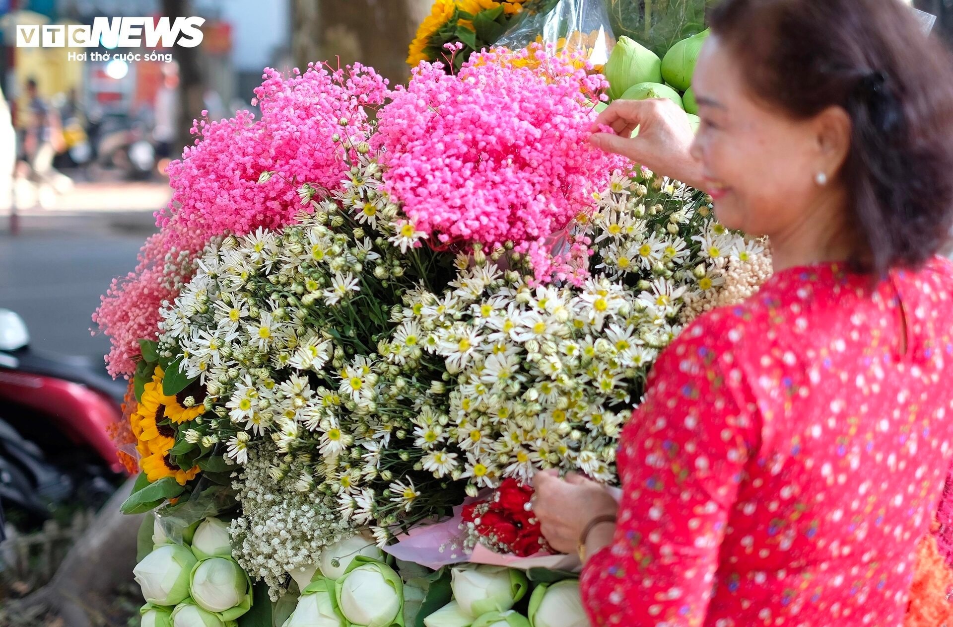 'Đặc sản' cúc họa mi đầu mùa giá chát, khách vẫn tấp nập mua - 9