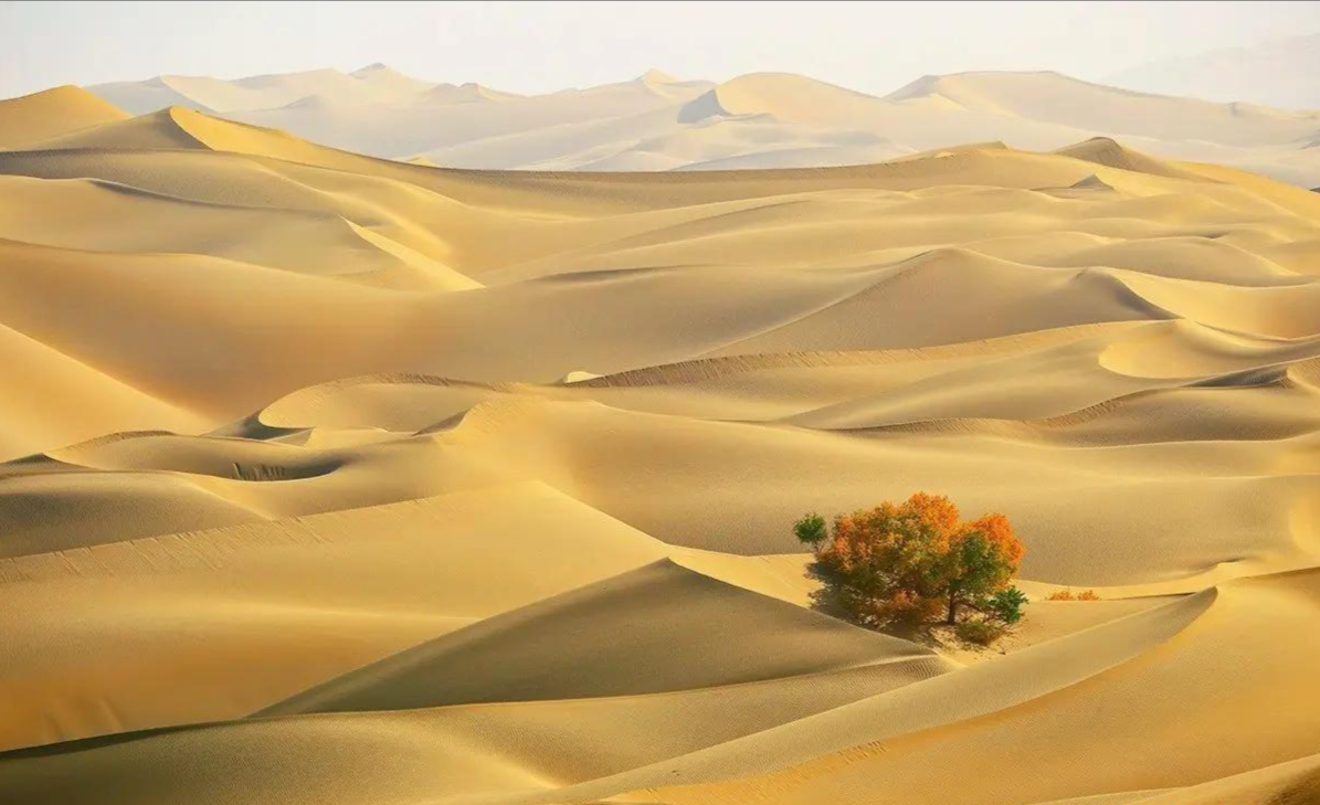 Sa mạc Taklimakan, tên theo tiếng Hán là Tháp Khắc Lạp Mã Can, nằm ở trung tâm lưu vực Tarim ở phía nam Tân Cương, là sa mạc lớn nhất Trung Quốc và lớn thứ 10 trên thế giới.