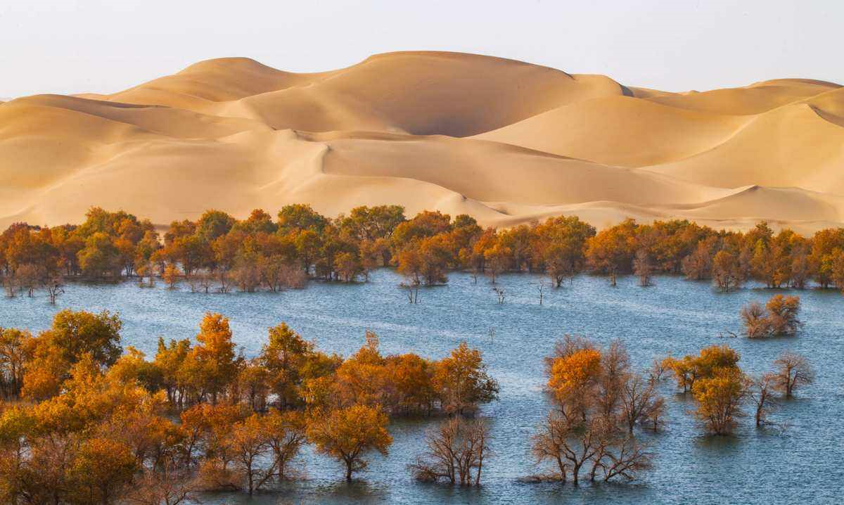 Ngoài ra, việc trồng cây gây rừng liên tục được thử nghiệm và đã thu được nhiều thành công khác, tạo ra những ốc đảo xinh đẹp và những khu rừng sinh thái, thúc đẩy phát triển du lịch trên sa mạc lớn nhất Trung Quốc.
