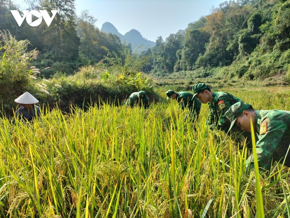 bo doi bien phong cao bang - giup dan la tu giup chinh minh hinh anh 4