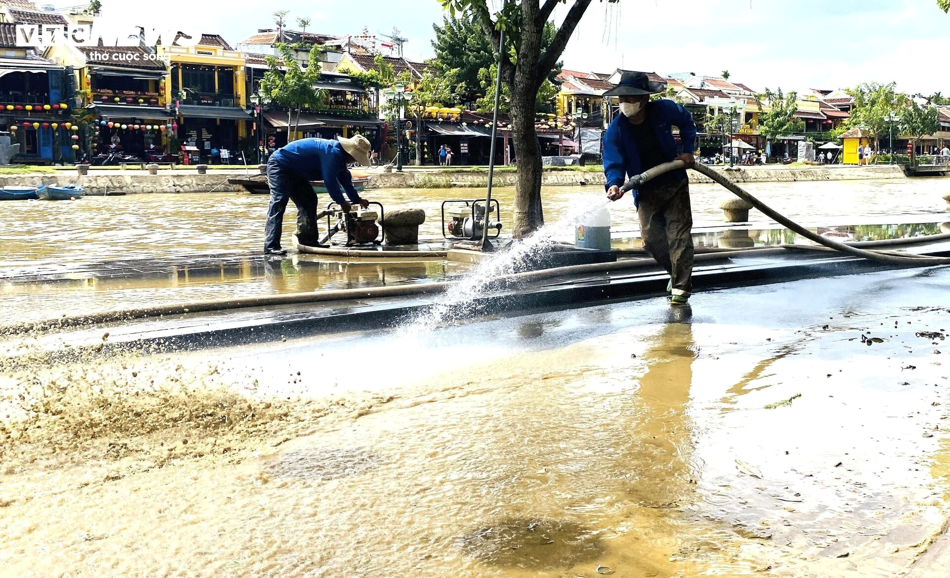 nguoi dan pho co hoi an quay cuong don bun non sau 2 tran lu lien tiep hinh anh 8