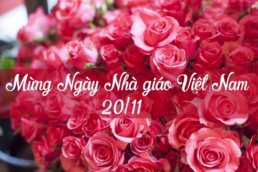 nhung loi chuc y nghia danh tang thay co nhan ngay nha giao viet nam hinh anh 1