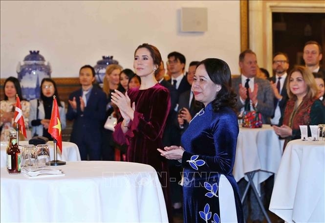 pho chu tich nuoc du ky niem 10 nam thiet lap quan he viet nam - Dan mach hinh anh 3