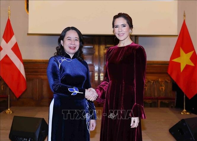 pho chu tich nuoc du ky niem 10 nam thiet lap quan he viet nam - Dan mach hinh anh 4