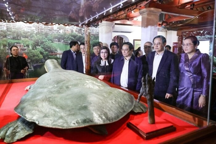 Hai Thủ tướng tham quan tiêu bản cụ rùa Hồ Gươm trưng bày trong đền Ngọc Sơn. (Ảnh: Nhật Bắc)