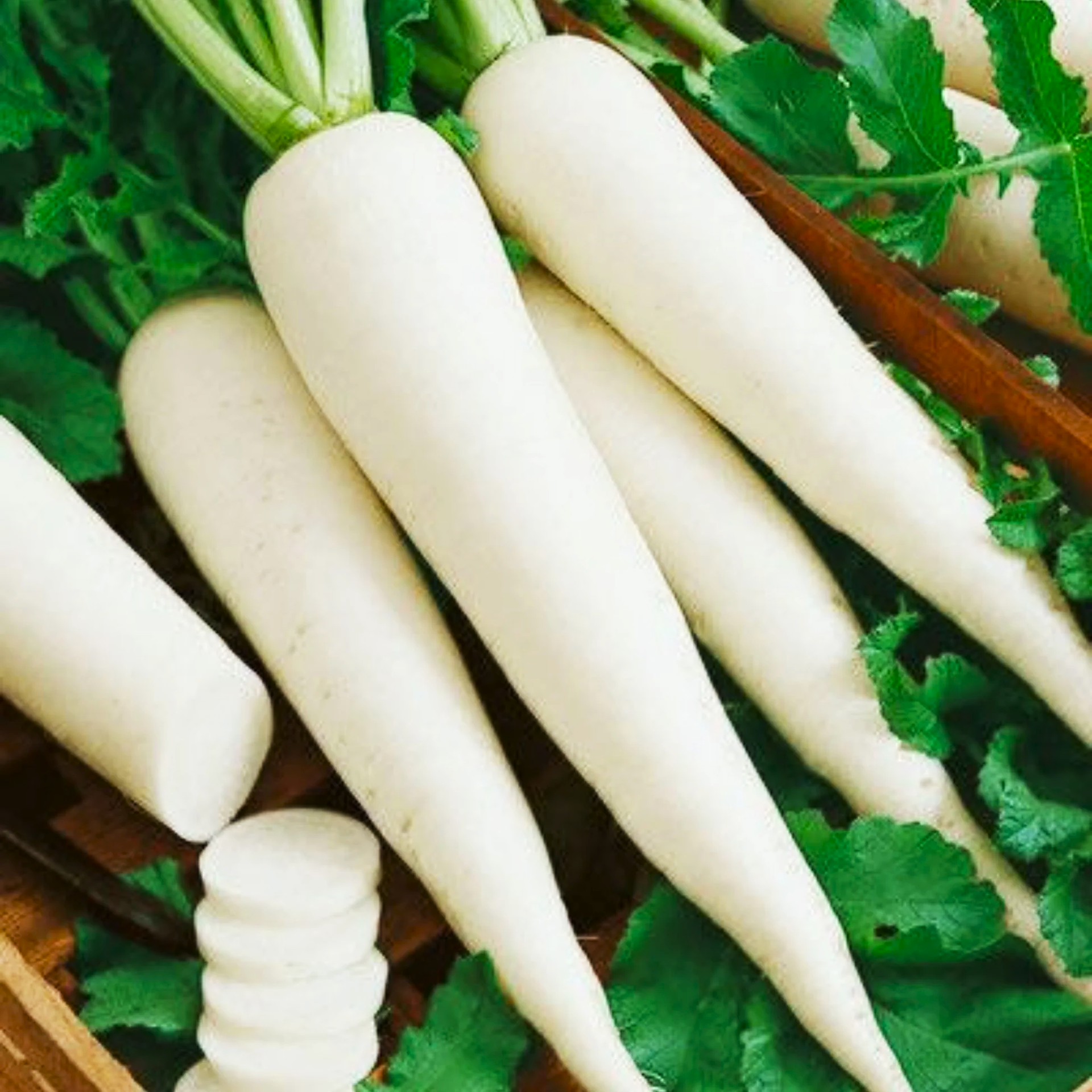 Củ cải không chỉ giòn, có vị cay nồng mà còn chứa nhiều lợi ích sức khỏe đã được khoa học chứng minh. (Ảnh: seed2plant)