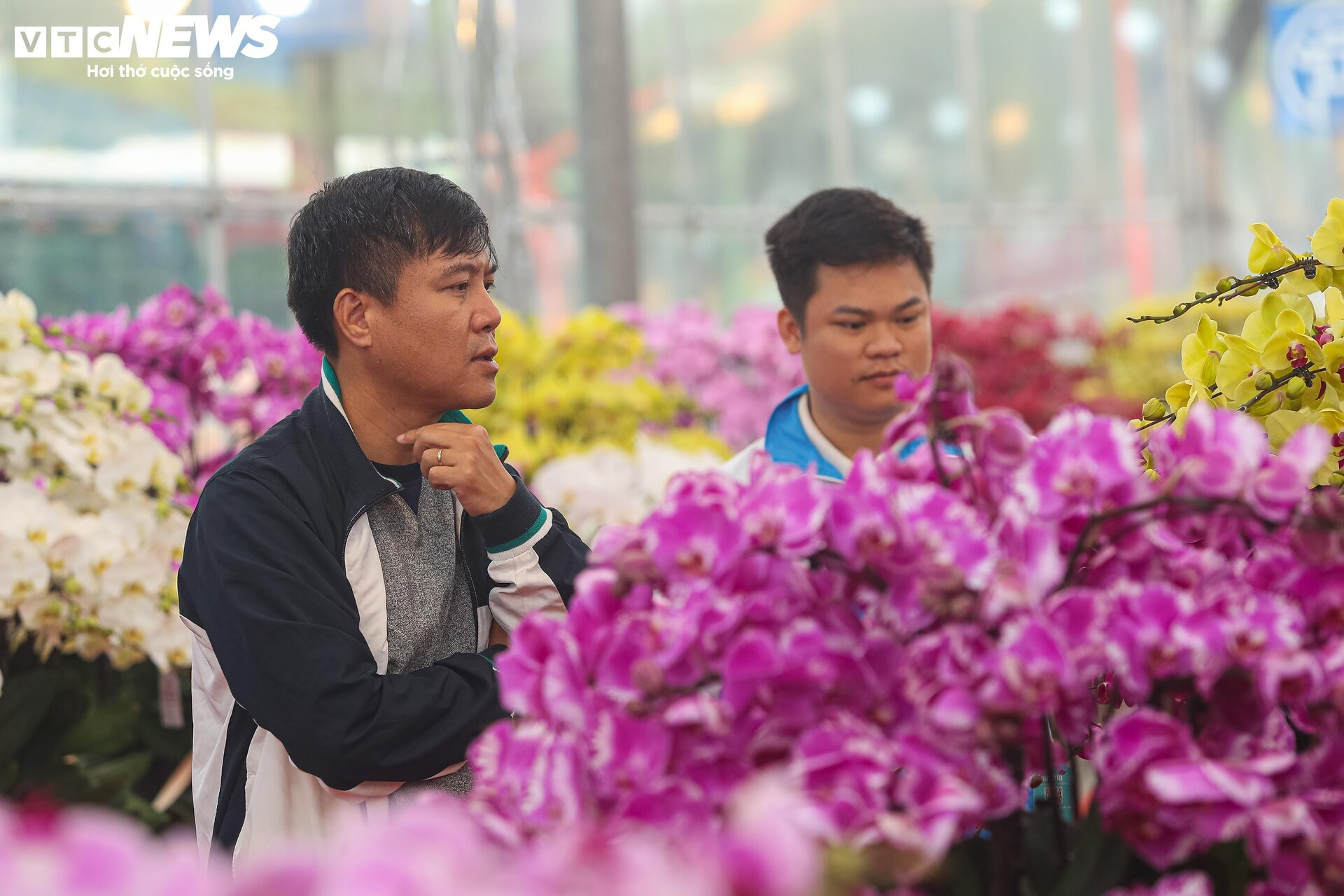 Lan hồ điệp đủ loại khoe sắc, người Hà Nội xuống tiền triệu mua hoa - 15