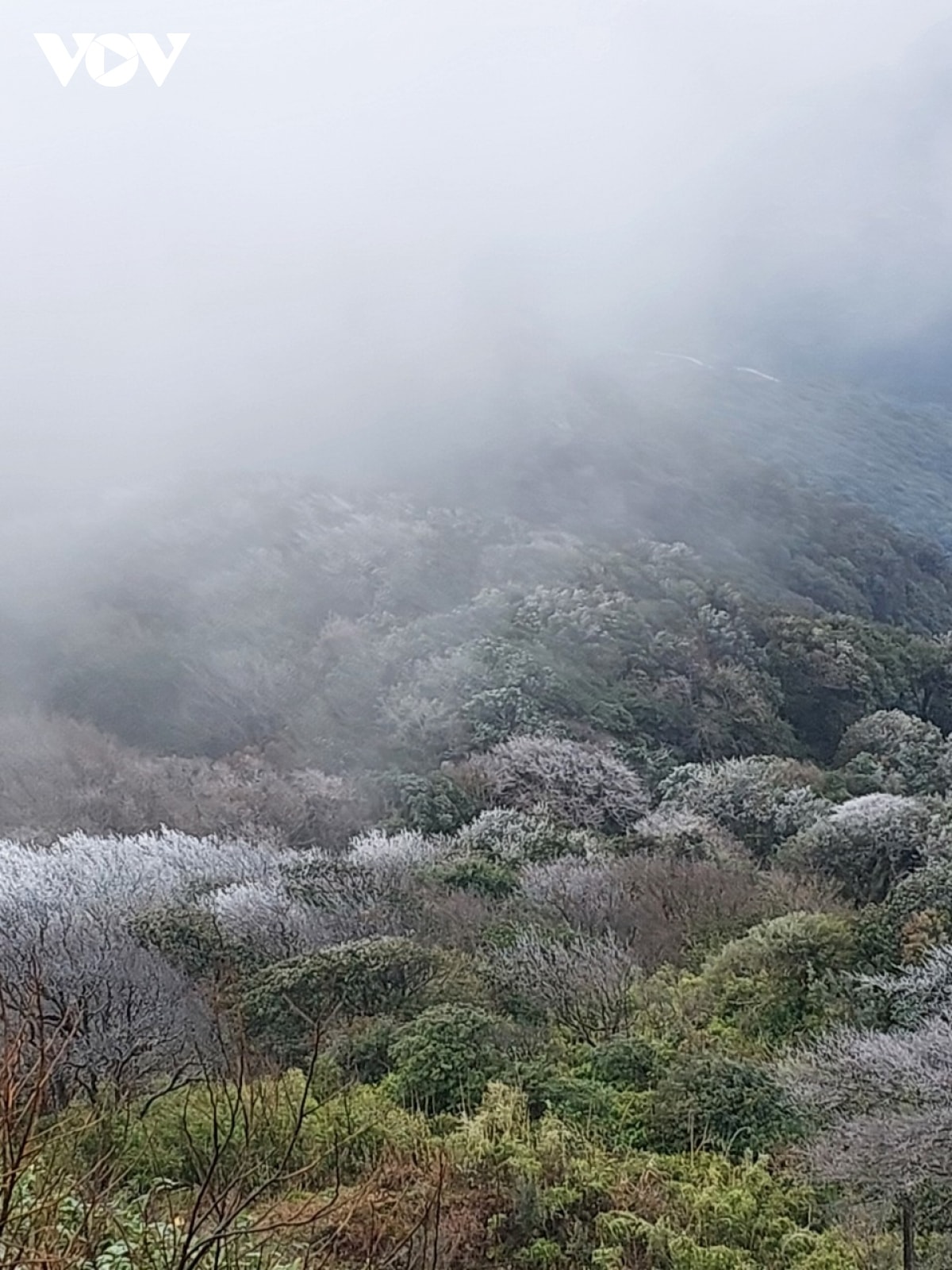 xuat hien bang gia tren dinh phia oac, cao bang hinh anh 6