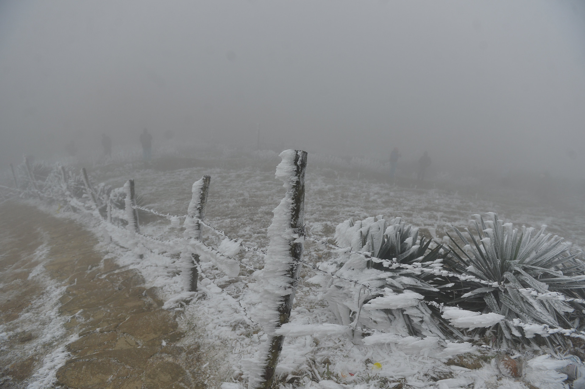 Mùa Đông ở trên đỉnh Mẫu Sơn rất lạnh, nhiệt độ có thể xuống dưới 0 độ C và thường xuất hiện băng tuyết. Chính khí hậu đặc biệt này khiến Mẫu Sơn trở thành điểm thu hút khách du lịch.