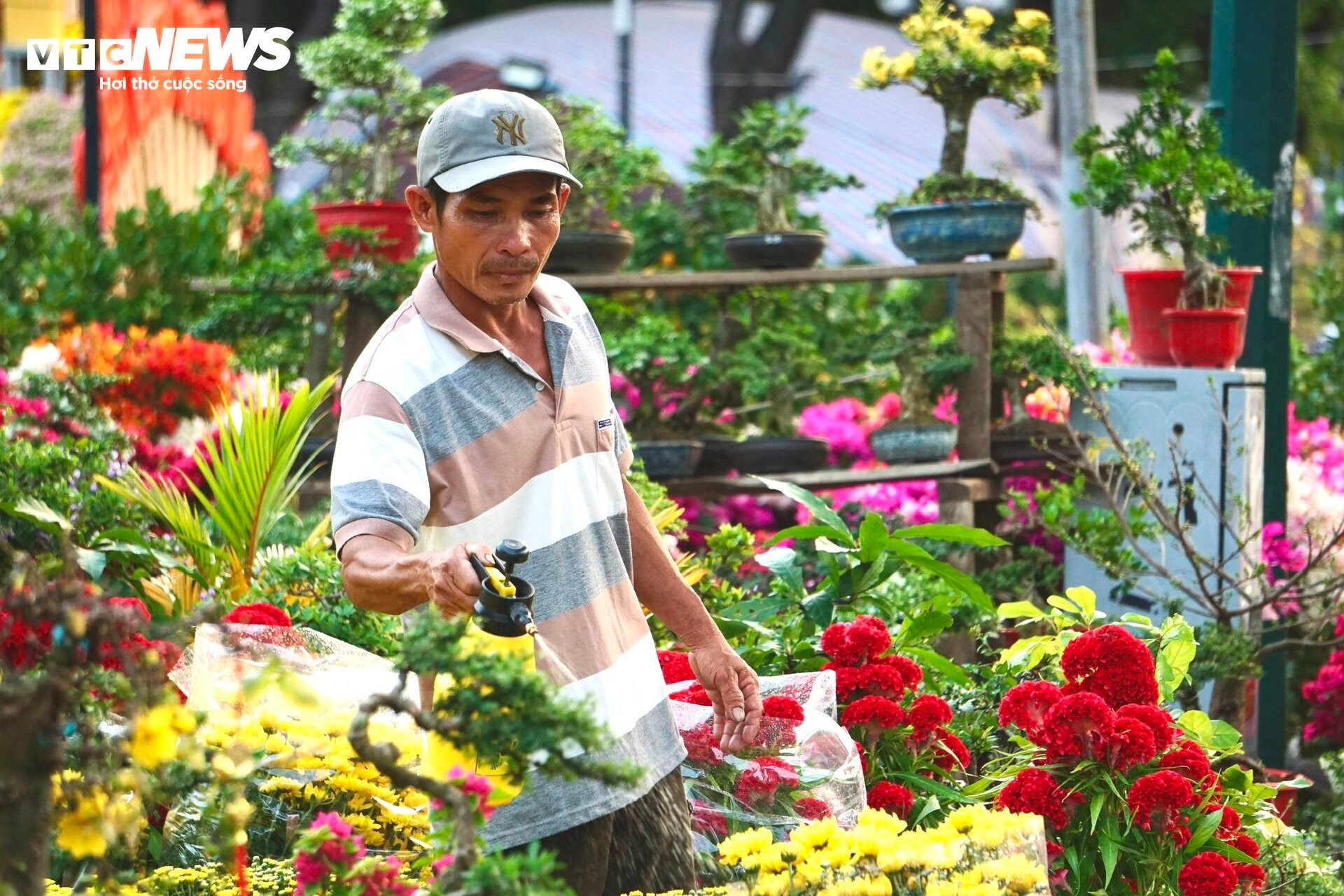 Chợ hoa xuân TP.HCM tấp nập khách mua ngày 28 Tết - 11